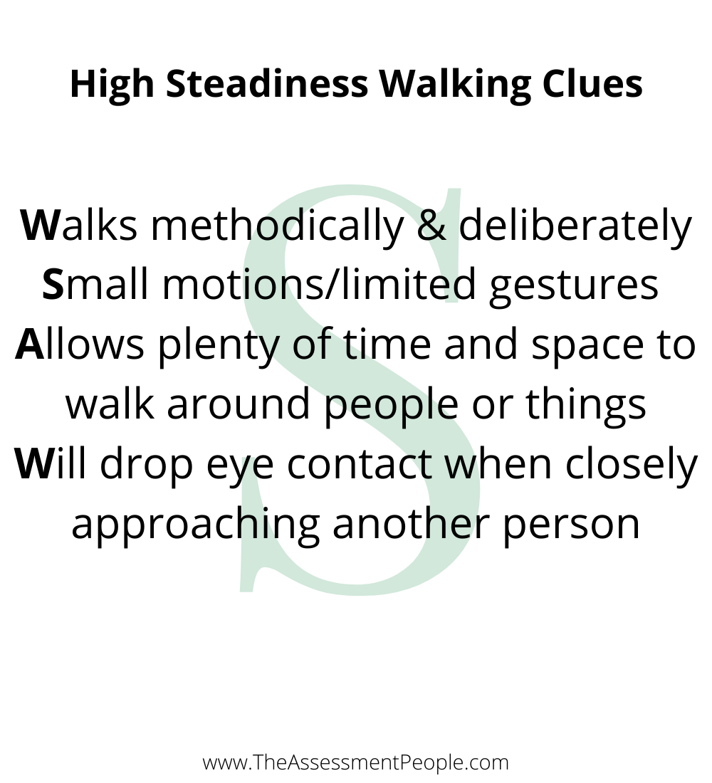 DISC Walking Style of S