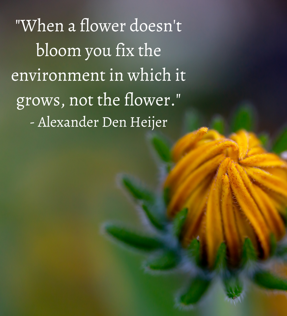 DISC Quote Flower